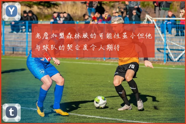 老詹加盟森林狼的可能性虽小但他与球队的契合度令人期待