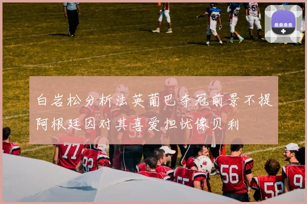 白岩松分析法英葡巴夺冠前景不提阿根廷因对其喜爱担忧像贝利