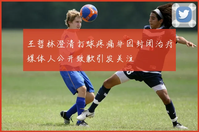 王哲林澄清打球疼痛非因封闭治疗媒体人公开致歉引发关注