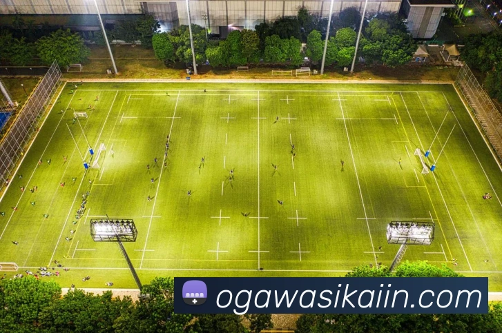 APP界面展示